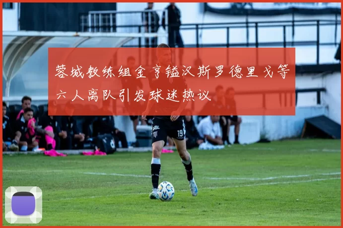 蓉城教练组金亨镒汉斯罗德里戈等六人离队引发球迷热议