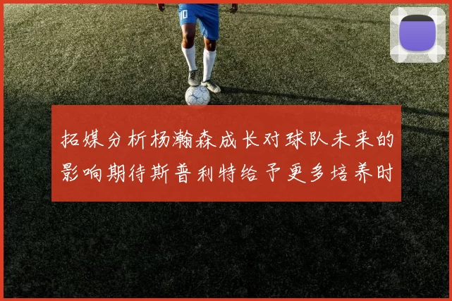 拓媒分析杨瀚森成长对球队未来的影响期待斯普利特给予更多培养时间
