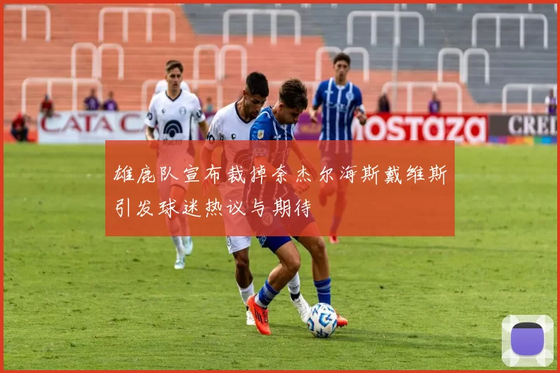 雄鹿队宣布裁掉奈杰尔海斯戴维斯引发球迷热议与期待